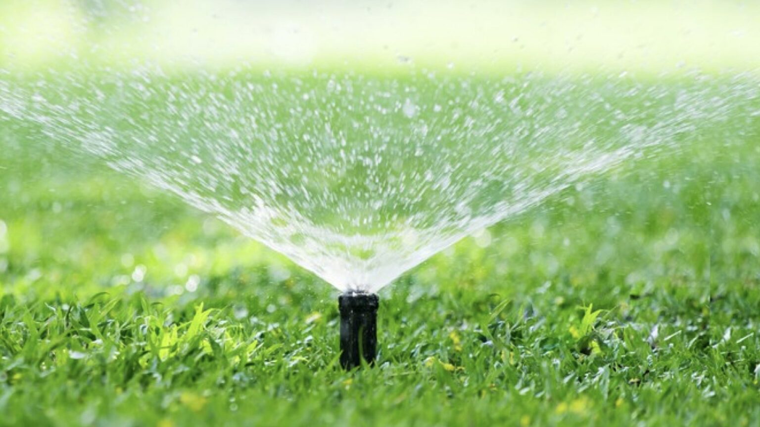 Reticulation Install & Repair Garden Services Perth